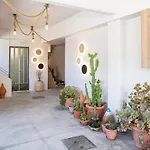 Euphorbia Milii Apartment