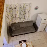 Feel Like Home