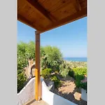 Nektaria'S Studio