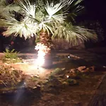 Olive Garden Luxury Villa With Pool In Agia Pelagia