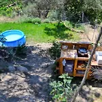 Glamping Canvas Tent In Chania Wild Cretan West