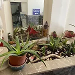 Mina Apartment