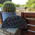Cactus Home