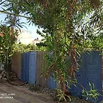 Cactus Home