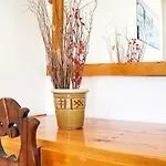 Quiet Place With Efflorescent Garden