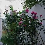 Minos Studio, Kandanos
