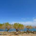 Kalliope