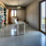Amazing Villa Arios