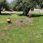 Cozy Home With Garden