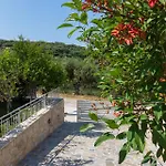 Villa Moma