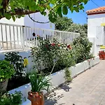 Lemon Garden 1