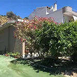 Lemon Home