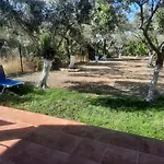 Mioara'S Cottage