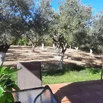 Mioara'S Cottage