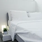 Modern Rooftop Apartment
