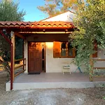 Olive Garden Home