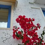 Mesonette Bungalow Sea View