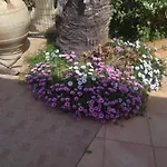 Villa Rosa Kreta / Old Chersonissos