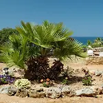Seashore Apartments