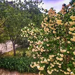 Alfo Agriculture Host House
