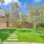 Renovated Apartment 3- Platanias