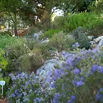 The Garden Of Zephyrus - East