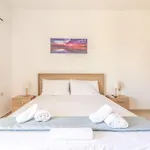 Urban Apt Next University 3