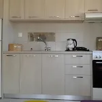 Little Octopus
