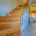 Sand Lily Residence