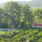 Stefanos Garden