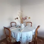 Spacious Sunny House In Chania