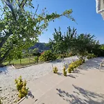 Ornament: Infinite Nature Villa