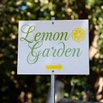 Lemon Garden Camper