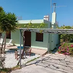Citrus Tree Garden House