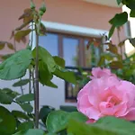 Melina'S House