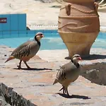 Country Hotel Velani