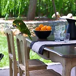 Sunvillage Malia Boutique Hotel And Suites