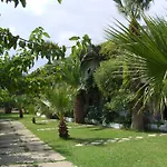 Damnoni Paradise