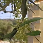 Stratos Villas