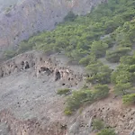 Samaria