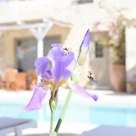 Laini Luxury Suites