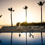 Thalasses