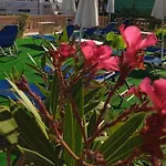 Ilona Apartments Chania