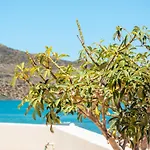 Chrispy Beach Resort, Agia Marina
