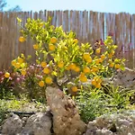 Lily'S Villa Lemonia