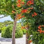 Mythos Suites Diskos
