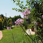 Villa Irene & Villa Sylvia