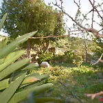 Zaros Traditional House