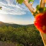 Rikanthos Stone Sea View Apartment Ιι