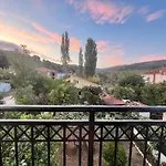 Delfinia Studios